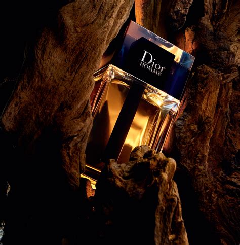 dior summer cologne|Dior cologne 2020.